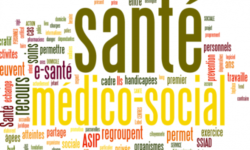 SECTEUR MEDICO-SOCIAL